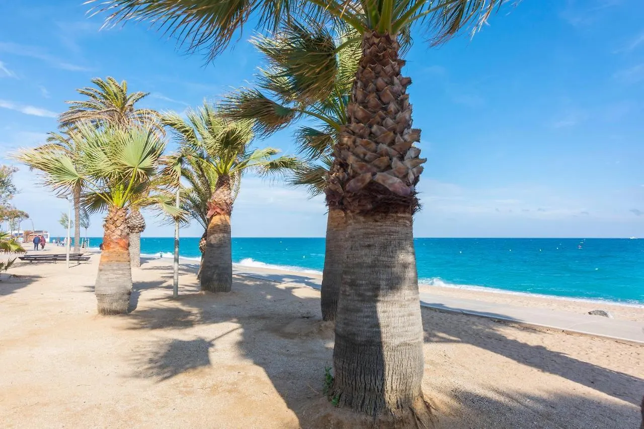 Daire Homeholidaysrentals Cyan- Costa Barcelona Pineda de Mar İspanya